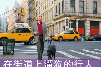 An image of a person with a dog on a street and the caption 