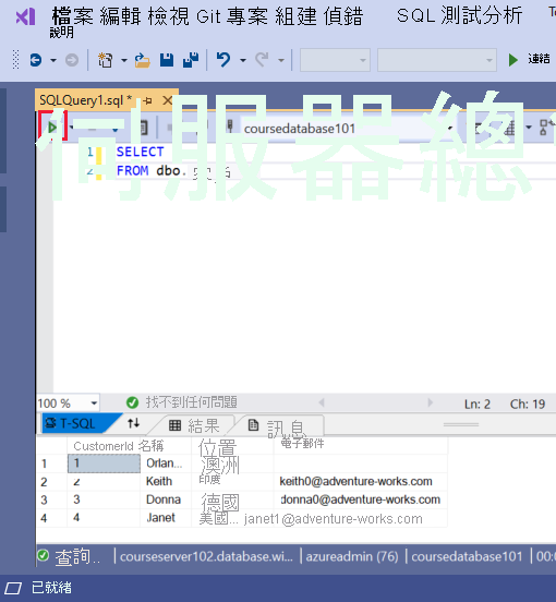 在 Visual Studio 中執行查詢