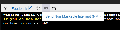 命令行中 [傳送不可遮罩的中斷 (NMI) 按鈕的螢幕快照。