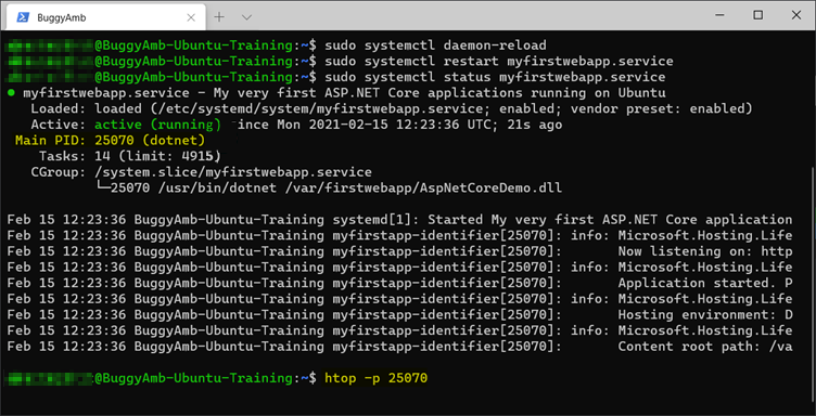 htop 命令的螢幕快照。