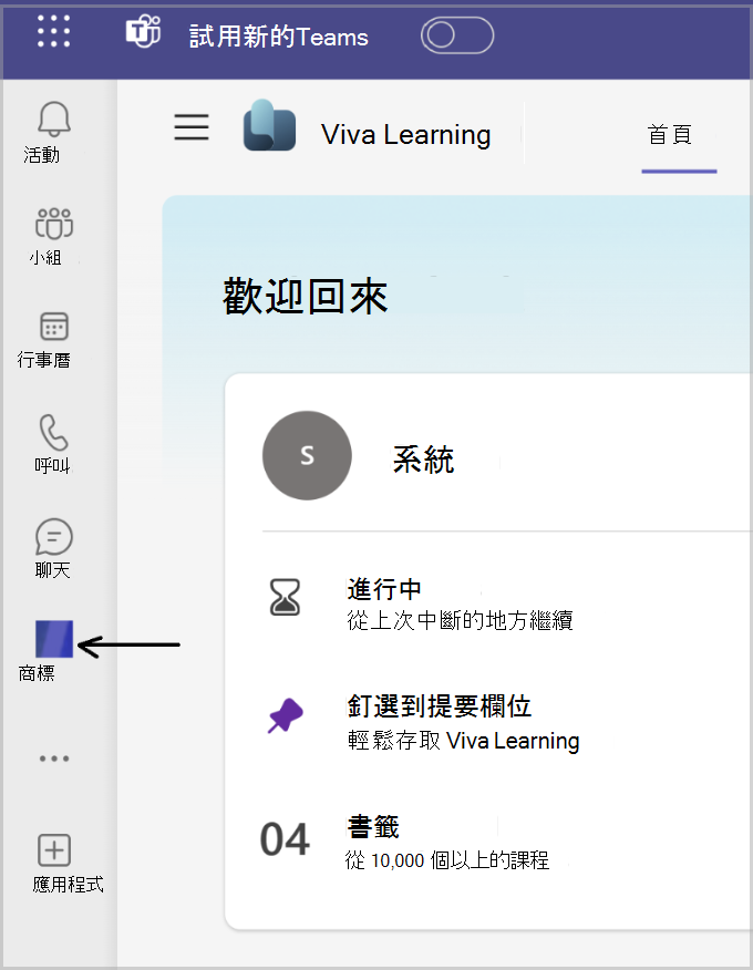 在 Teams 功能表列上釘選自訂品牌應用程式圖示外觀的螢幕快照
