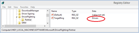 顯示 Windows 登錄編輯器內合作夥伴子機碼下所建立字串的影像。