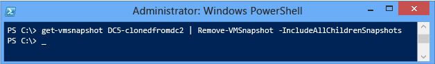 Screenshot of a terminal window that shows how to remove any imported snapshots.