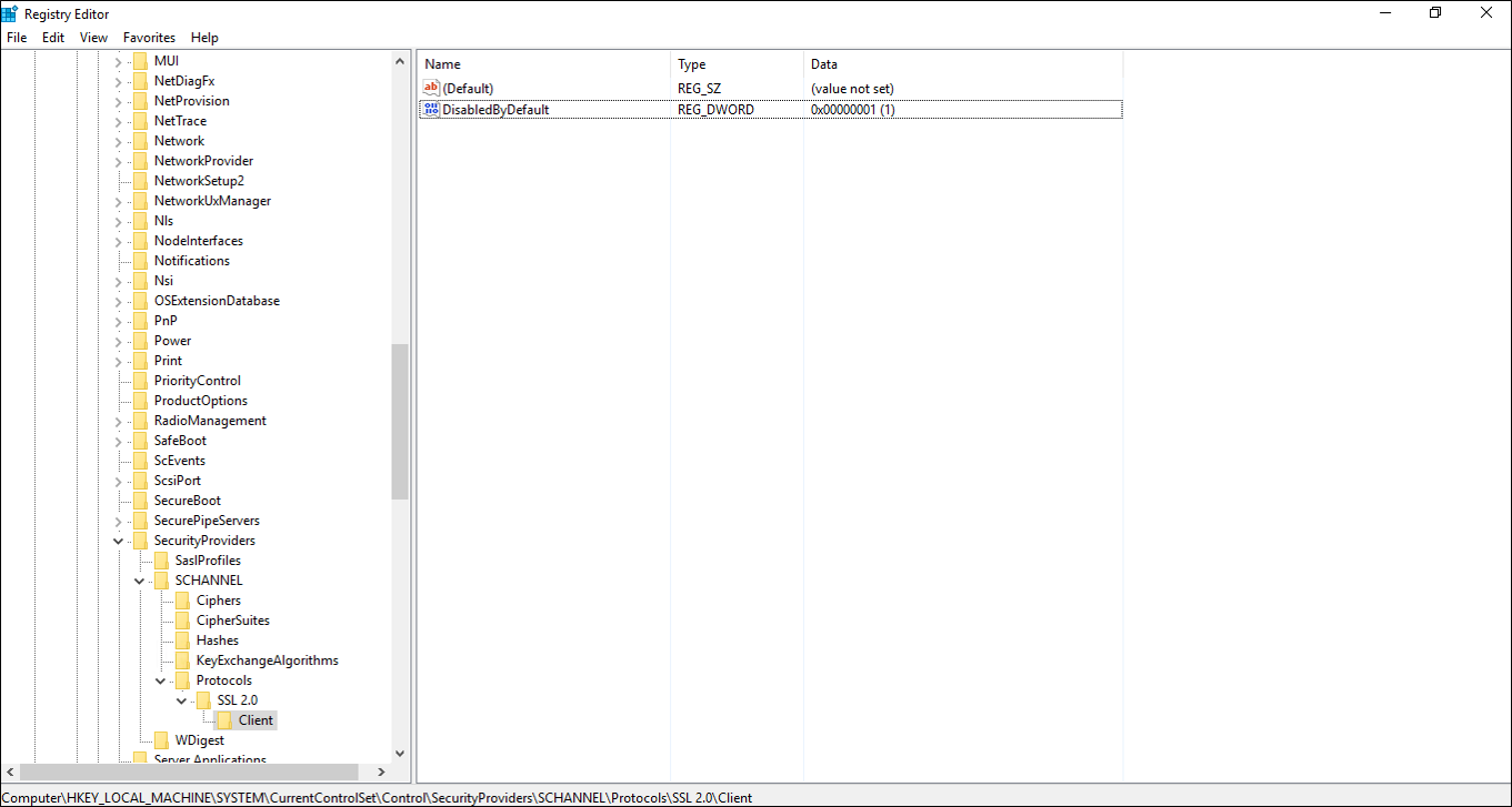 Screenshot of the Registry Editor showing the registry keys located in the Protocols folder.