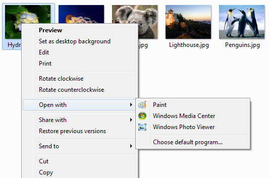 screen shot of shortcut menu with the open with submenu shown