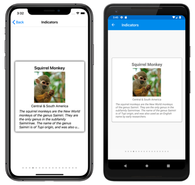 IndicatorView 圓形 iOS 和 Android 上 CarouselView 和 IndicatorView 的螢幕快照